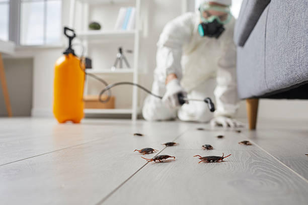 Trusted Termite Control service in Folsom, NJ - Nex Pest Control