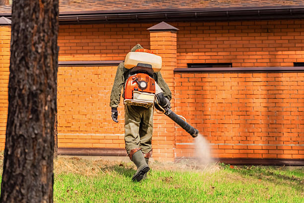 Trusted Mosquito Control service in Folsom, NJ - Nex Pest Control